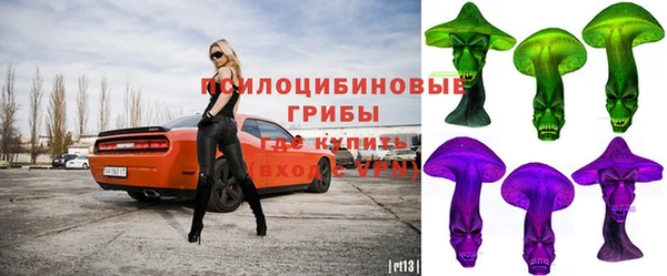 молекула духа Аркадак